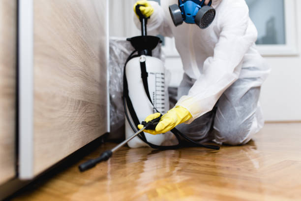Best Local Pest Control Services  in Nroe City, MO