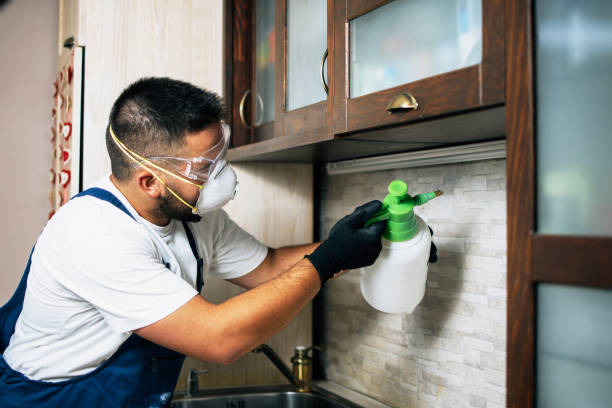 Trusted Monroe City, MO Pest Control Experts