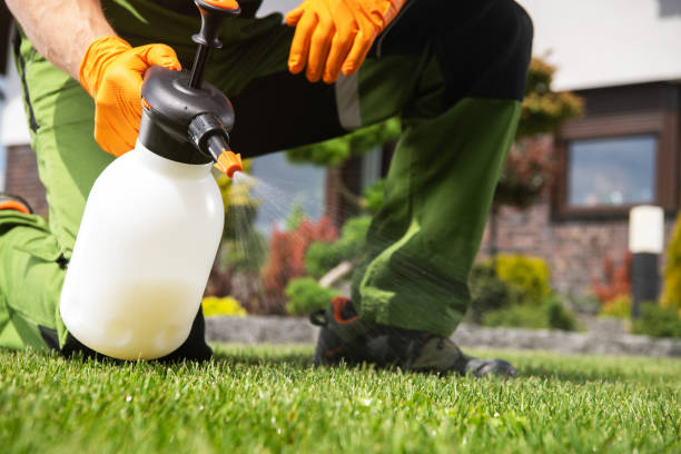 Best Ant Control Services  in Nroe City, MO