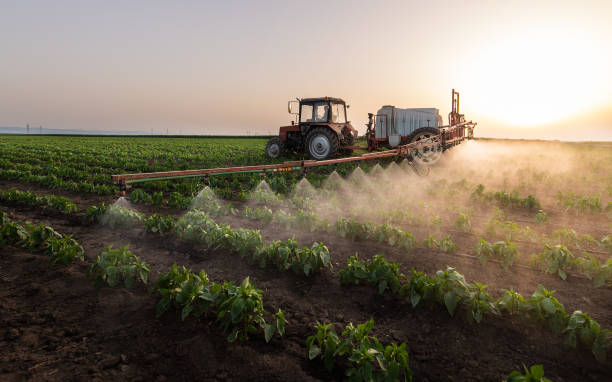 Best Pest Removal Services  in Nroe City, MO