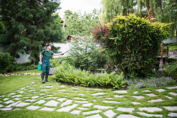 Best Commercial Pest Control Services  in Nroe City, MO