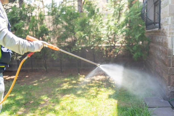 Professional Pest Control in Monroe City, MO