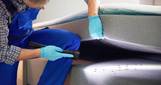 Best Best Pest Control Companies  in Nroe City, MO