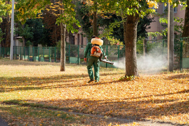 Best Wasp Removal Services  in Nroe City, MO