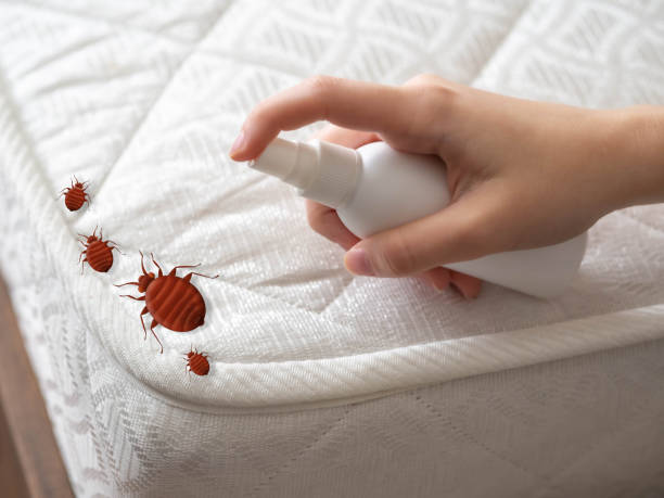 Best Cockroach Control Services  in Nroe City, MO