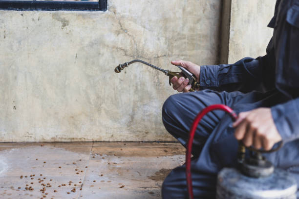 Best Exterminator Services  in Nroe City, MO