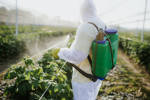 Best Mosquito Control Services  in Nroe City, MO